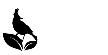 MarkUp Law